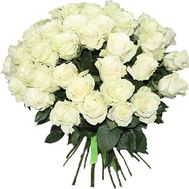 51 белая роза