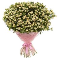 101 кустовая роза кремового цвета