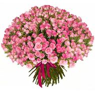 151 кустовая роза