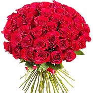 51 красная импортная роза