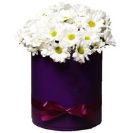 White camomiles in a box