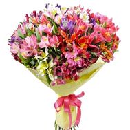 Букет з 51 альстромерії
