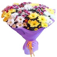 Bouquet of 15 chrysanthemums