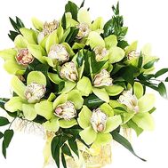 Букет зеленых орхидей