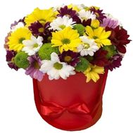 Chrysanthemums in a Hat Box