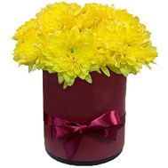Box of yellow chrysanthemums