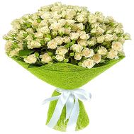 Beautiful bush roses