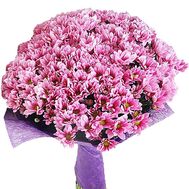 Красивый букет розовых хризантем