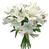Купить лилии