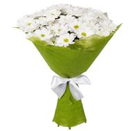 Маленький букет ромашок