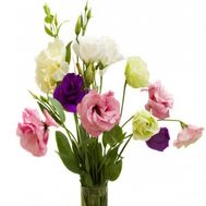 Мини букет из эустом