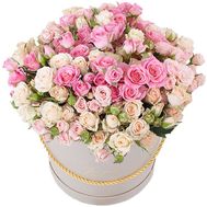 Fashionable box of bush roses