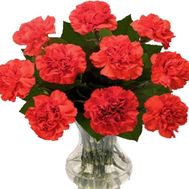 Невеликий букет гвоздик