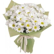 A small bouquet of chamomile chrysanthemums