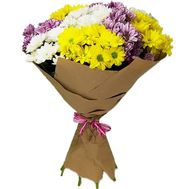 Pleasant bouquet of chrysanthemums in kraft paper