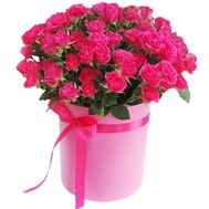 pink bush roses in a round box