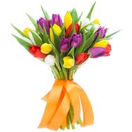 31 magnificent tulip