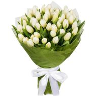 51 белый тюльпан