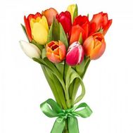 Букет з 11 різнокольорових тюльпанів
