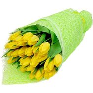 Beautiful yellow tulips