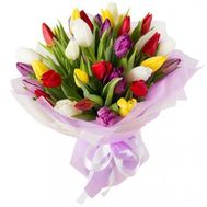 Pleasant bouquet of multi-colored tulips