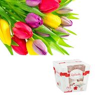 15 tulips and rafaello
