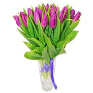 25 purple tulips