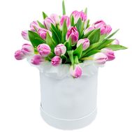 25 pink tulips in a box