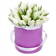 35 tulips in a hat box