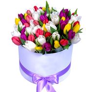 51 тюльпан в коробке