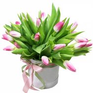 A box of pink tulips