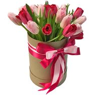 Red and pink tulips in a box