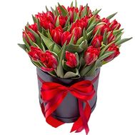 Red tulips in a hat box