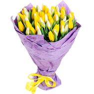 51 разноцветный тюльпан