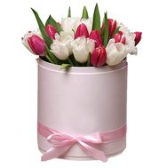 Delicate box of tulips