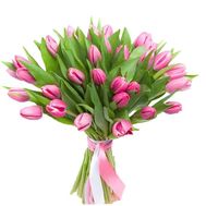 Прелестные розовые тюльпаны