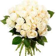 Букет из 31 белой розы