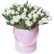 51 белый тюльпан в коробке