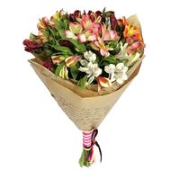 Alstroemeria in kraft paper