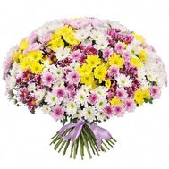 101 хризантема в букете