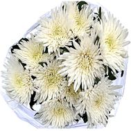11 white single-headed chrysanthemums