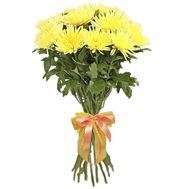 15 yellow large-head chrysanthemums