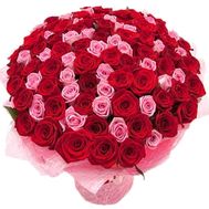 101 розовая и красная роза