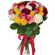 31 разноцветная роза