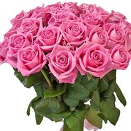 31 розовая роза