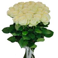 33 белые розы