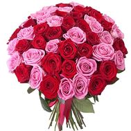 51 красная и розовая роза