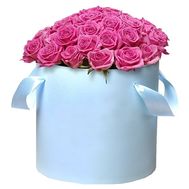 51 розовая роза в коробке