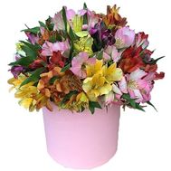 Alstroemeria in a hat box