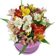 Bouquet of alstroemeria in a box